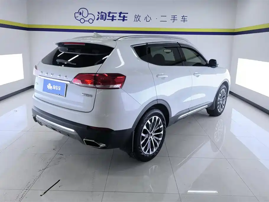 Haval H6 2017 Blue Label 2.0T Auto 2WD Leader фото 3