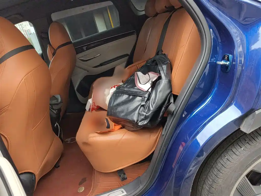 BYD Song PLUS PHEV 2021 DM-i 110KM Flagship PLUS фото 15