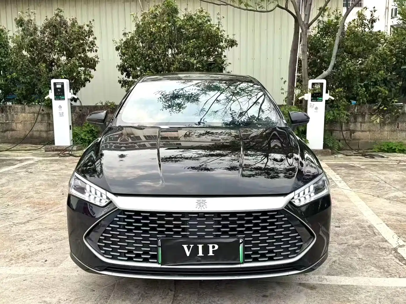 BYD Qin PLUS 2023 Champion Edition DM-i 55KM Leading фото 2