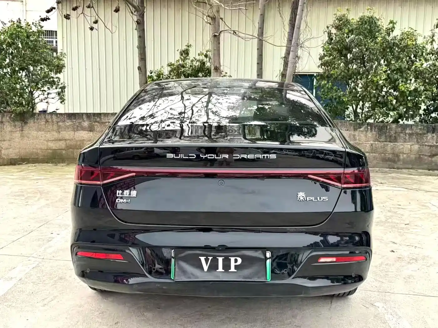 BYD Qin PLUS 2023 Champion Edition DM-i 55KM Leading фото 5