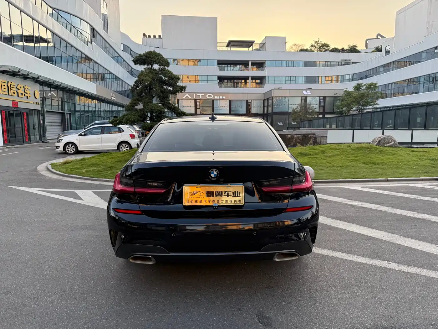 BMW 3 Series 2020 320Li M Sport Package фото 10