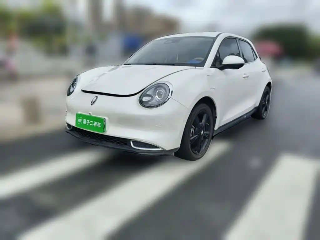 Ora Good Cat 2024 2024 401km Luxury
