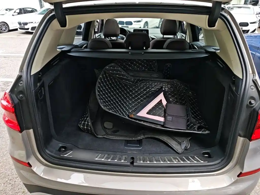 BMW X3 2018 2018 xDrive25i Luxury Package China V