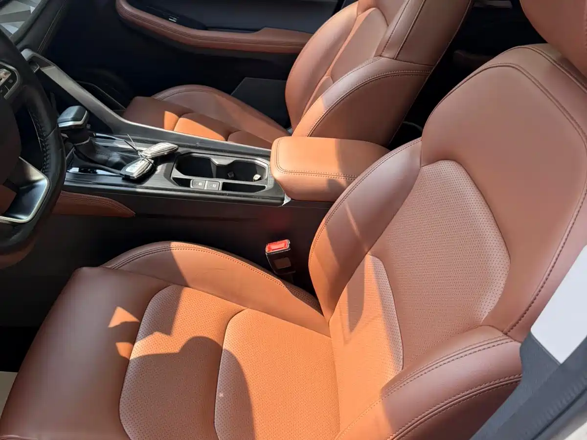 GEELY AUTOMOBILE VISION X6