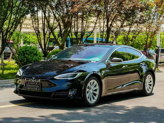 TESLA MODEL S 2019