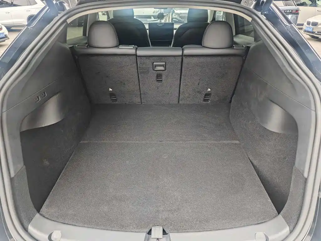 Tesla Model Y 2021 2021 Long Range All-Wheel Drive 3D7