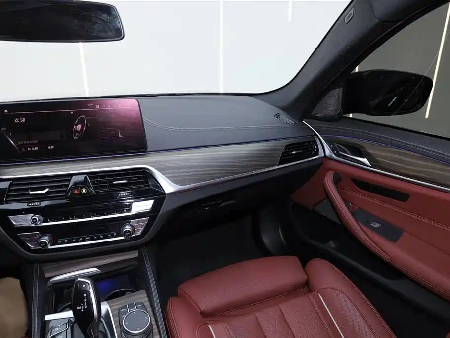 BMW 5 Series 2022 Facelift II 530Li Premium Package M Sport фото 22