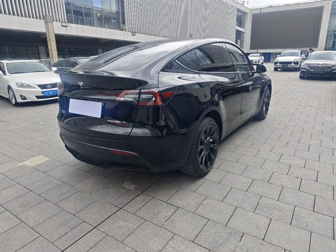 Tesla Model Y 2021 2021 Long Range All-Wheel Drive 3D7