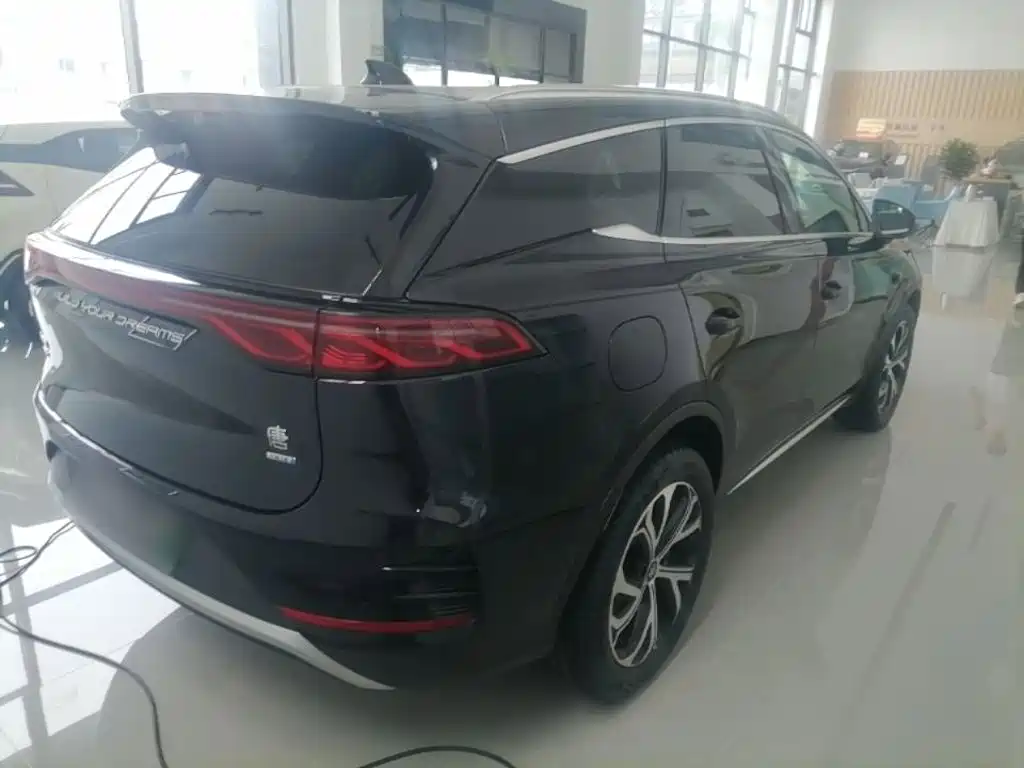 BYD Tang New Energy 2025 2025 Smart Driving Edition DM-i 115KM Flagship