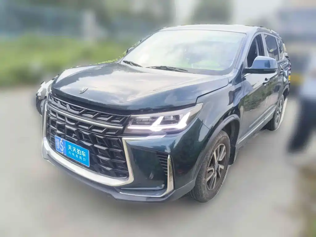 Dongfeng Fengxing Fengxing T5 2024 2024 Golden Age 1.6L Manual Dream Builder 5-seater