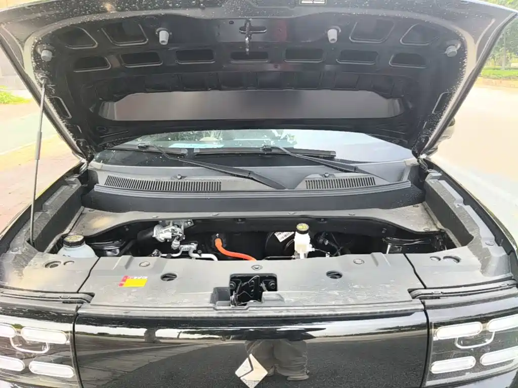 Baojun Yueye Plus 2026 2026 301km Flagship
