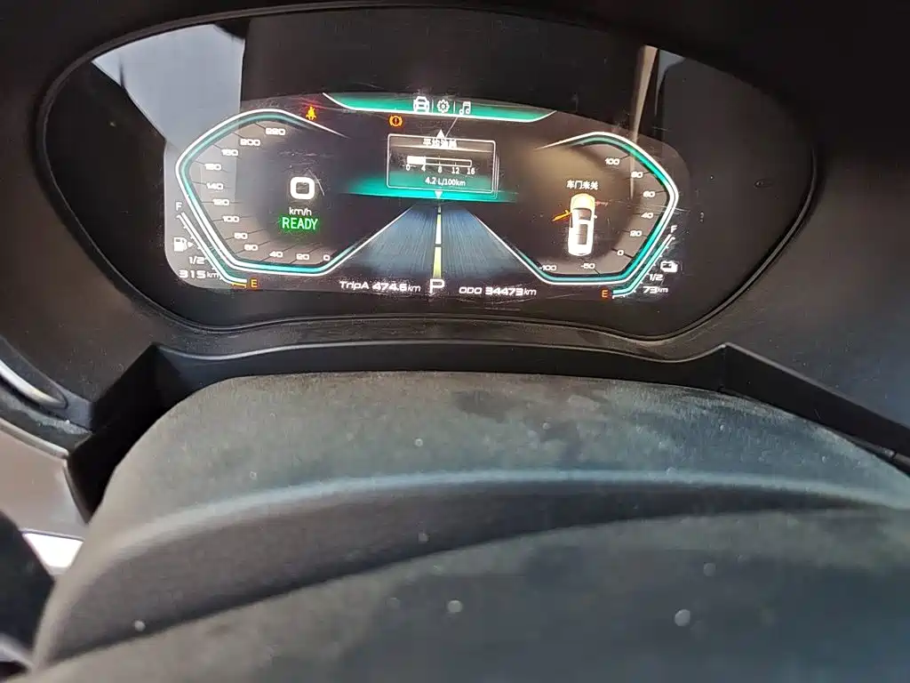 Haima 6P 2020 2021 1.2T PHEV Long Range Luxury