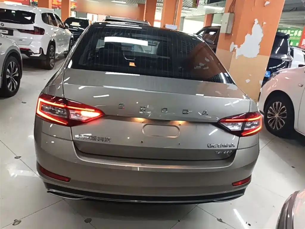 Škoda Octavia 2019 TSI280 DSG Smart Drive Luxury Edition China VI фото 6