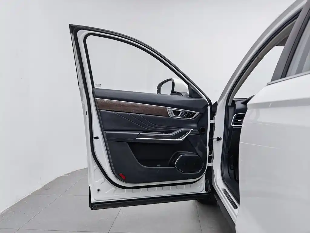 Besturn Bestune T99 2020 2020 20TD Automatic Premium