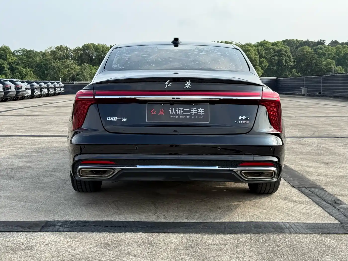 Hongqi H5 2023 2.0T Auto Smart Connect Flag Comfort фото 5