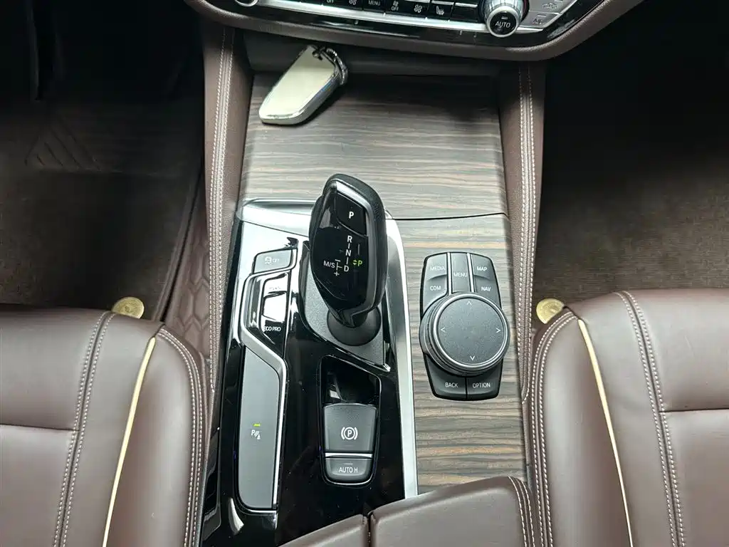 BMW 5 Series 2020 530Li xDrive Luxury Package фото 15