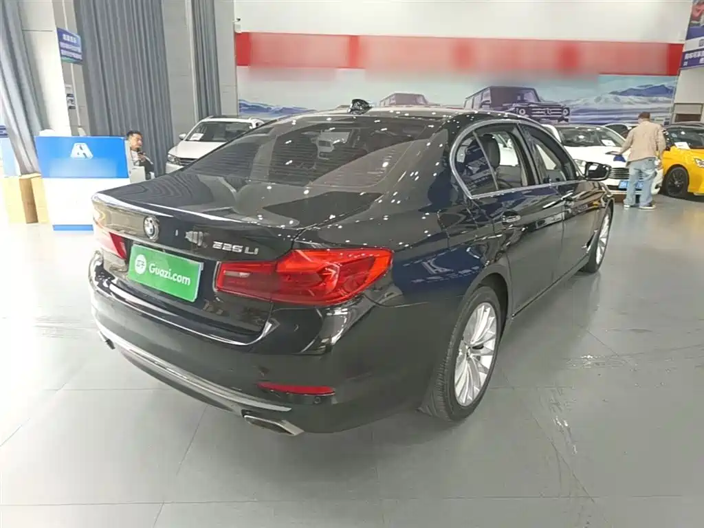BMW 5 Series 2018 525Li Luxury Package фото 7