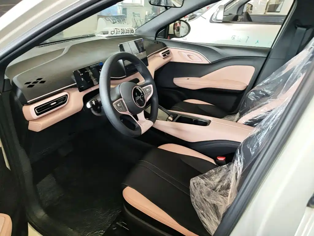 BYD Seagull 2026 2025 Smart Drive Edition 305km Vitality Version