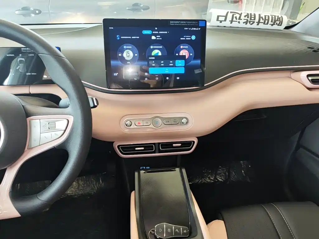 BYD Seagull 2026 2025 Smart Drive Edition 305km Vitality Version