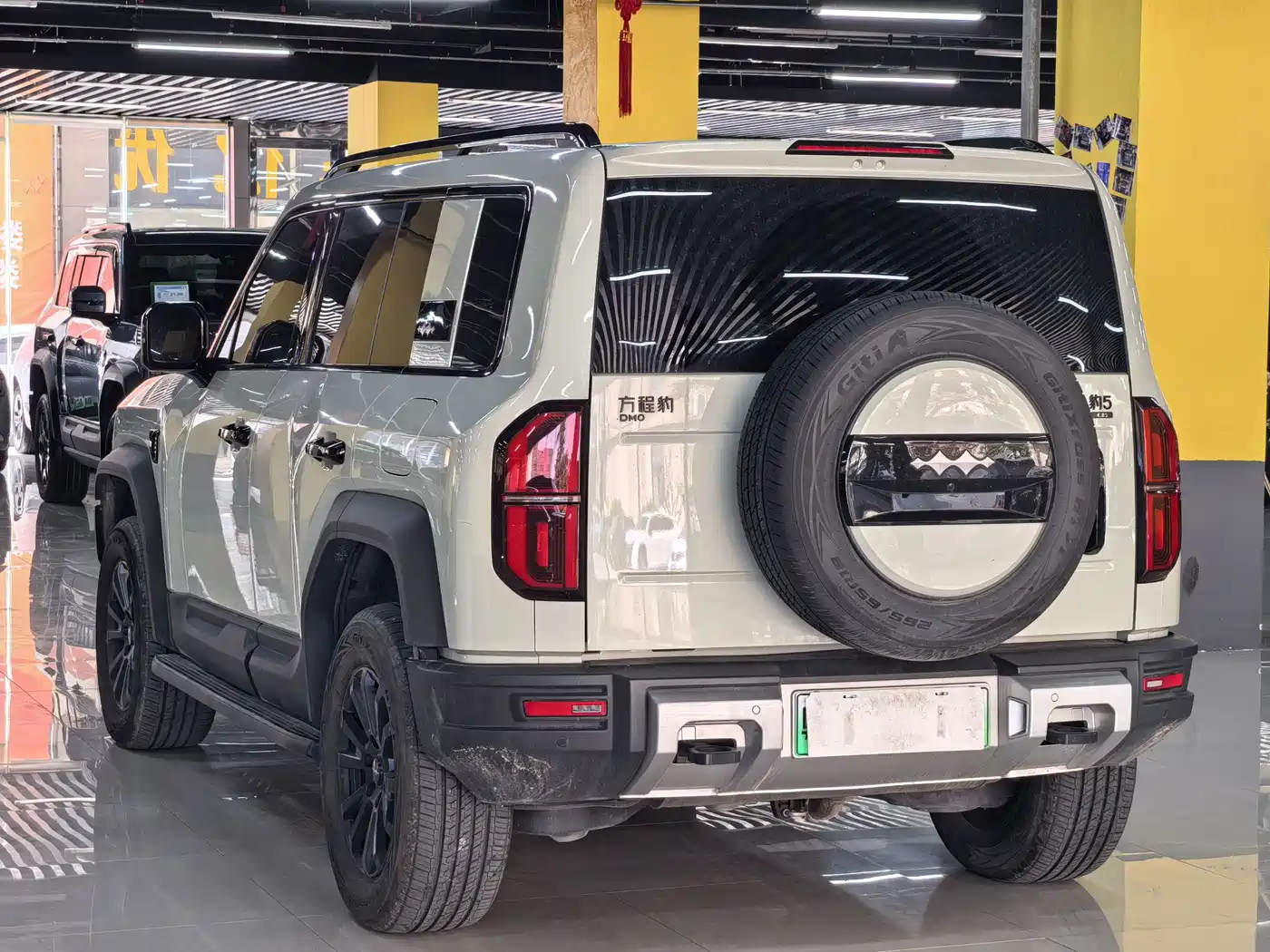 FANG CHENG BAO LEOPARD 5