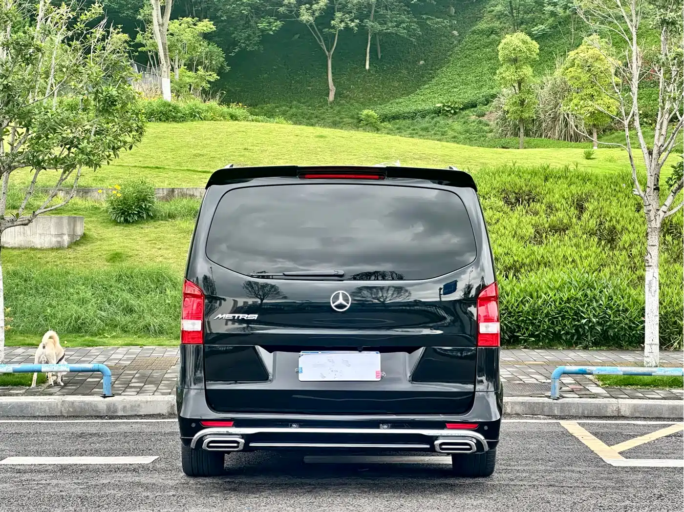 Mercedes-Benz Vito 2018 2.0T Business China V фото 15