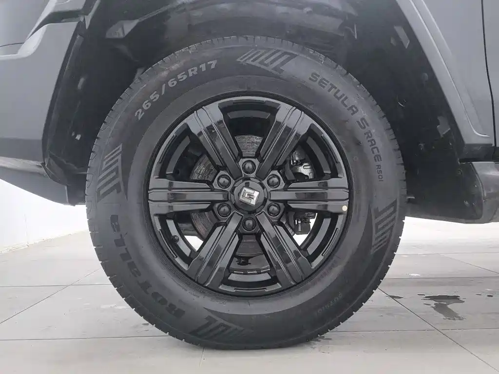 Tank 300 2021 2021 Off-road Edition 2.0T Challenger