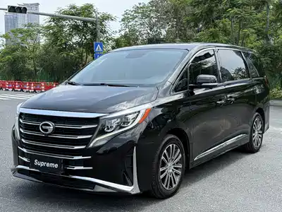 Trumpchi M8