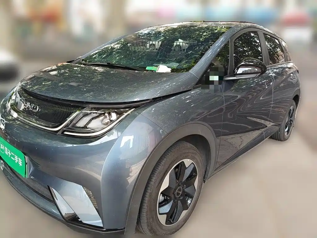 BYD Dolphin 2026 2025 420km Freedom Edition