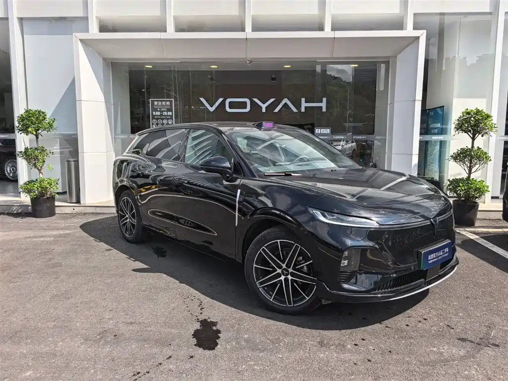 Voyah Auto Voyah Zhiyin 2025 Base фото 3
