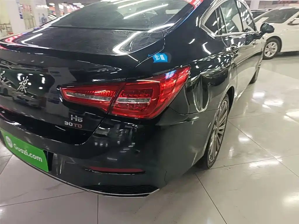 Hongqi H5 2020 1.5T DCT Qi Rhythm Edition фото 8