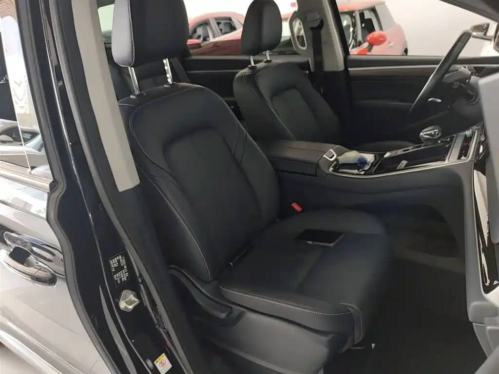GAC Trumpchi Trumpchi M8 2023 Leading Series 390T Premium Edition фото 20