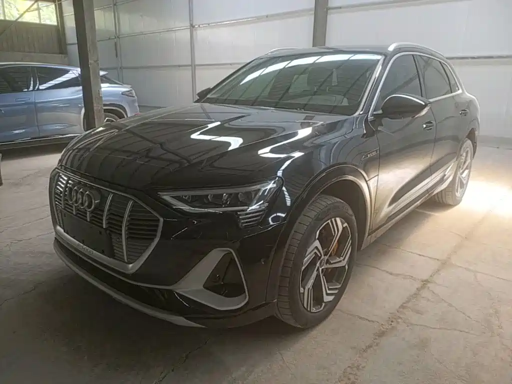 Audi e-tron 2021 50 quattro Exclusive Selection