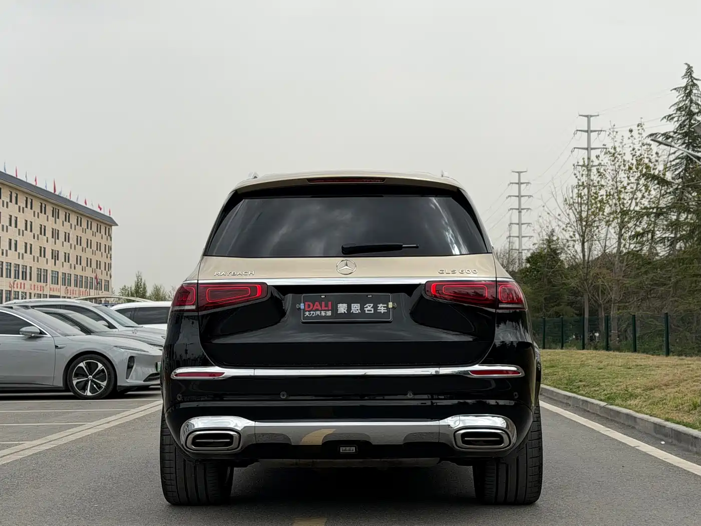 MERCEDES-BENZ MAYBACH GLS