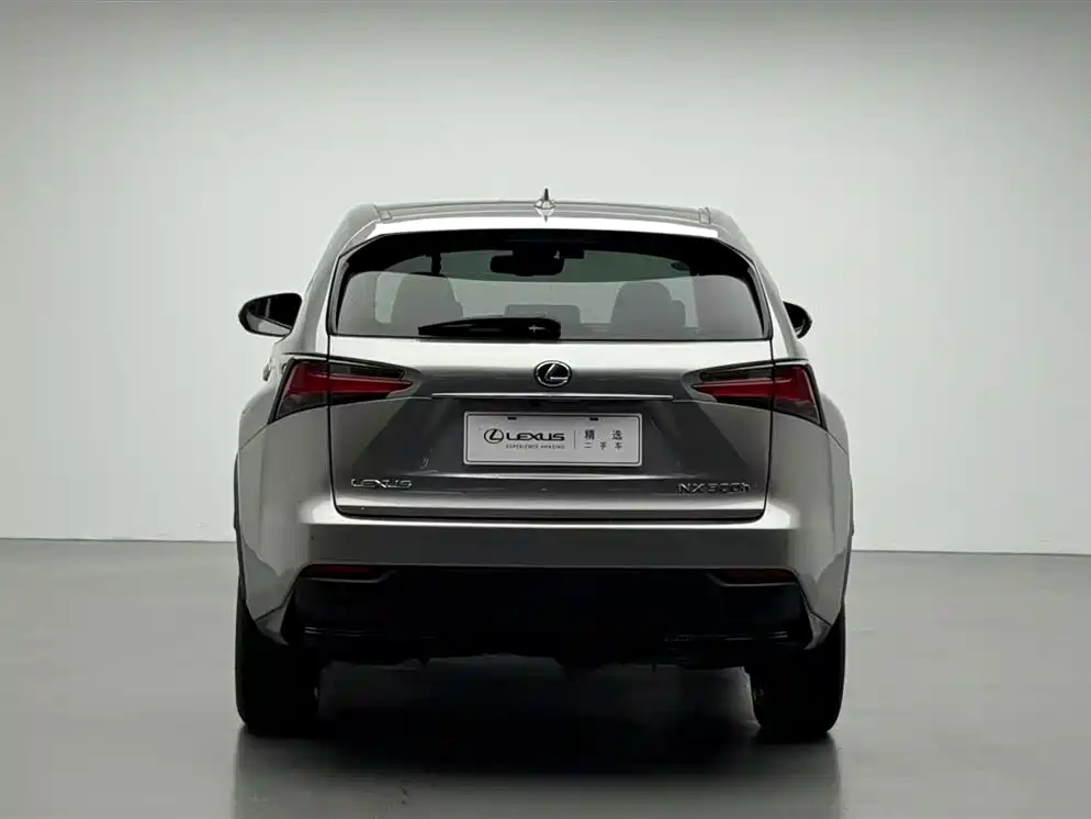 Lexus NX 2015 300h AWD F SPORT фото 16