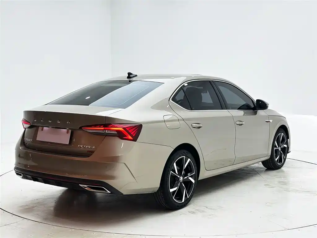 Škoda Octavia 2021 PRO TSI280 DSG Luxury Edition фото 6