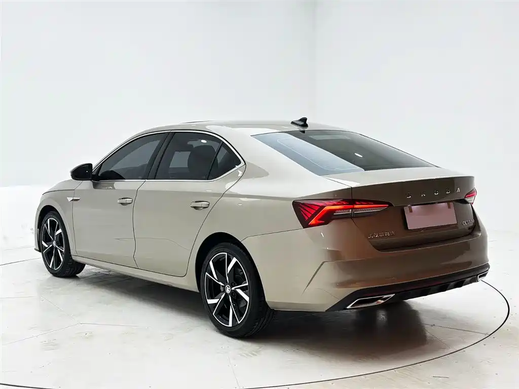 Škoda Octavia 2021 PRO TSI280 DSG Luxury Edition фото 4
