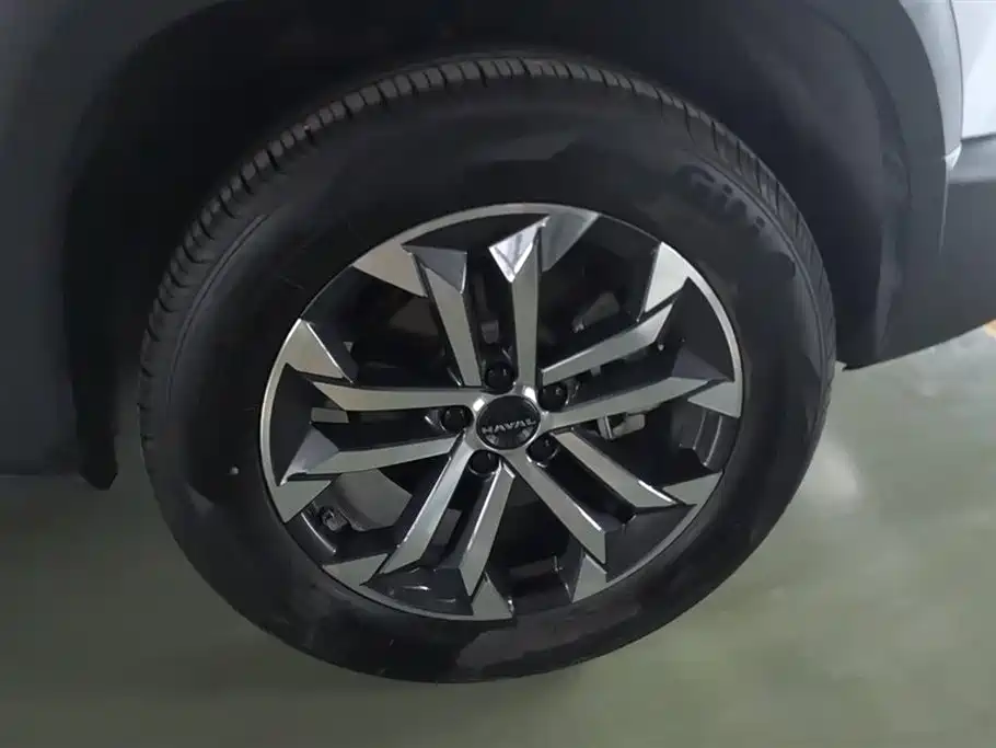 Haval Big Dog 2024 1.5T DCT Border Collie Edition фото 6