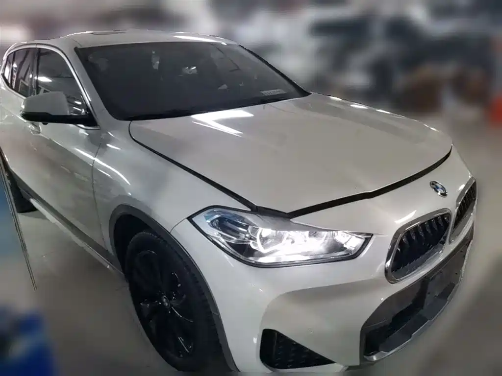 BMW X2 2021 sDrive25i Leading M Sport Package фото 7