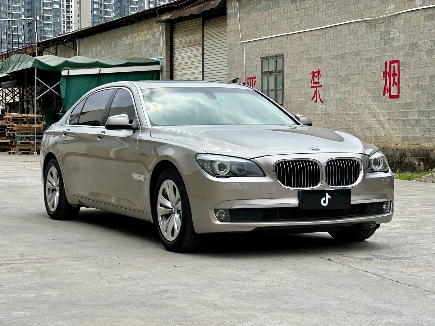 BMW 7 Series 2011 730Li Elegance фото 3
