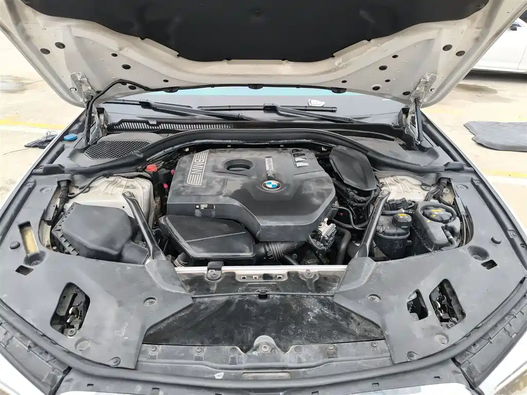BMW 5 Series 2018 530Li Premium M Sport Package фото 16