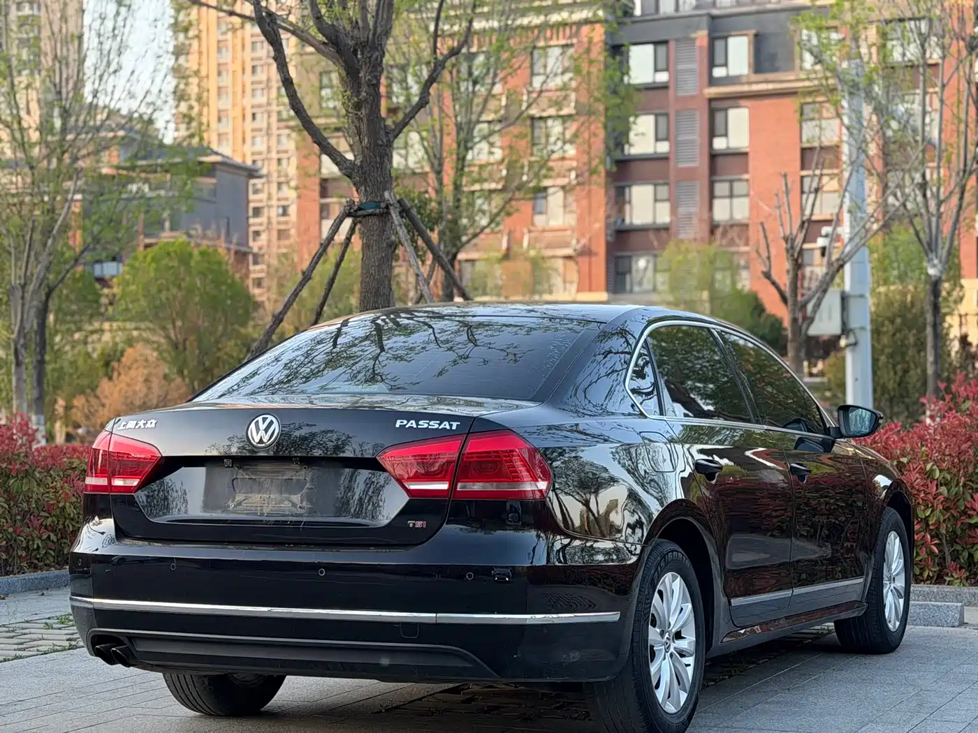 Volkswagen Passat 2014 1.8TSI DSG Luxury Edition фото 6