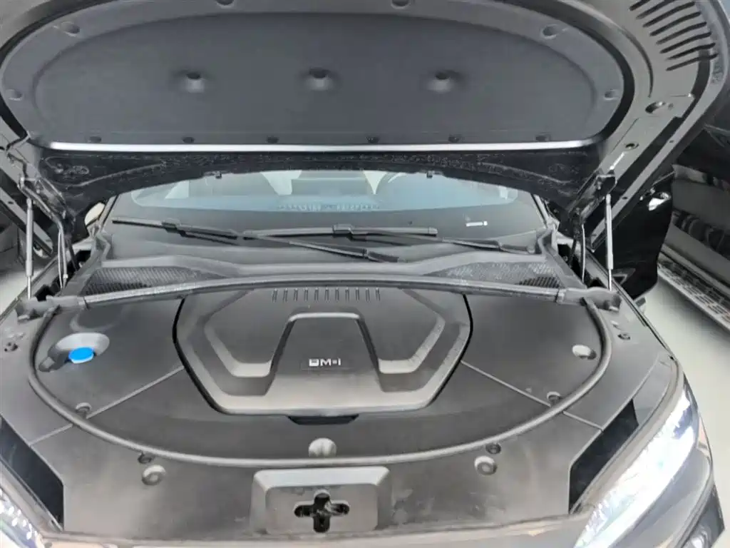 BYD Song PLUS PHEV 2024 Glory Edition DM-i 110km Flagship фото 20