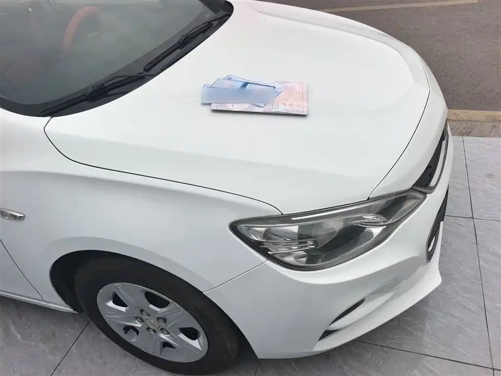 Chevrolet Cavalier 2019 320 Auto Sunroof Enjoyment Edition фото 4