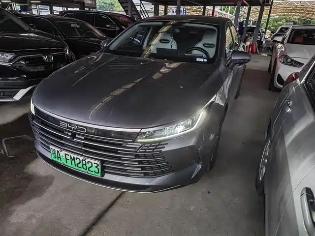 BYD Destroyer 05 2024 Glory Edition DM-i 55KM Luxury