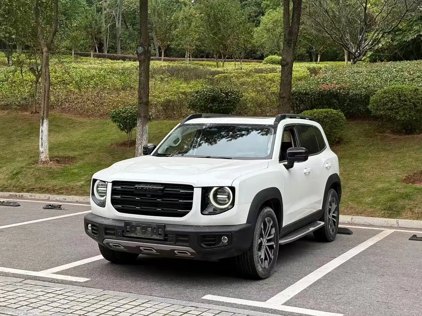 Haval Dargo 2020 2021 1.5T DCT 2WD Border Collie Edition