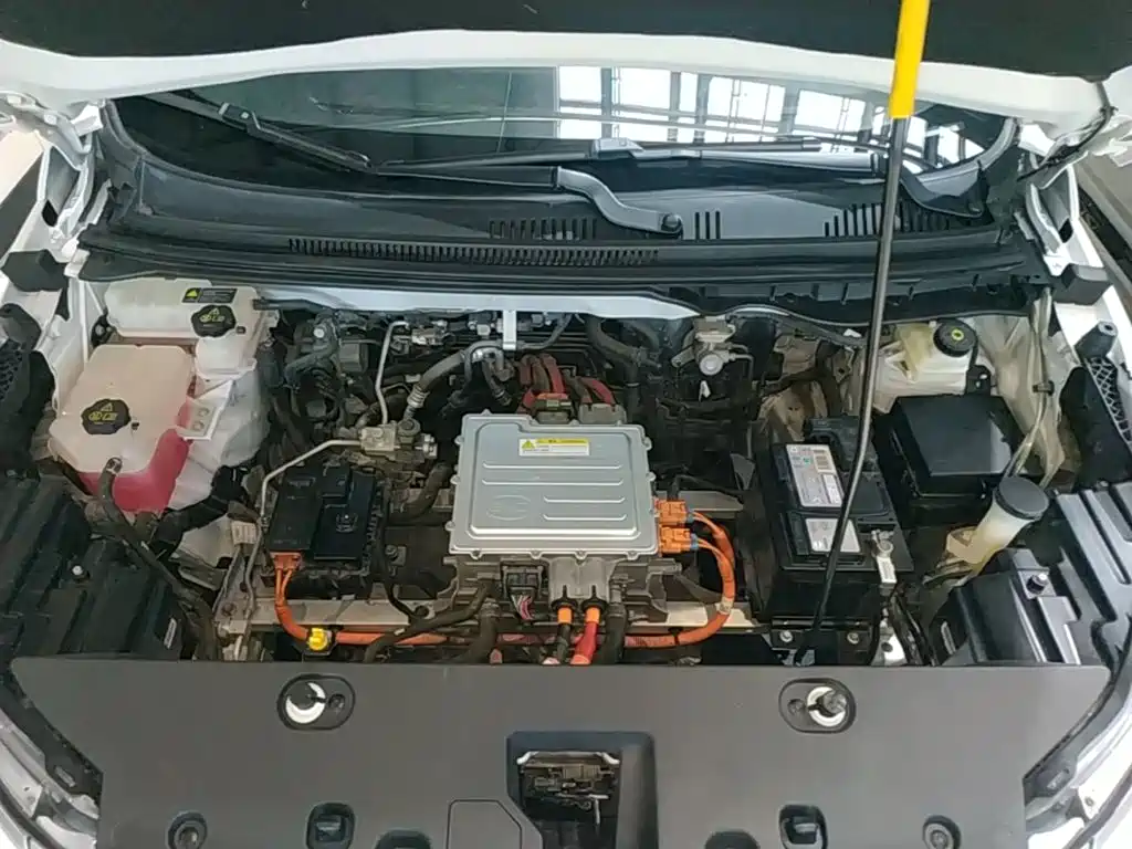 BYD Yuan Pro 2021 2021 401KM Luxury Model
