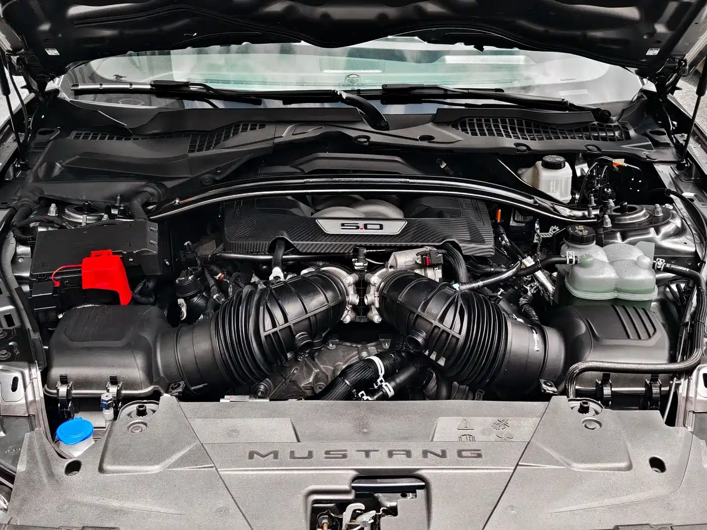 Ford Mustang 2024 5.0L V8 Dark Horse фото 8