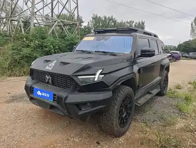 Mengshi 917