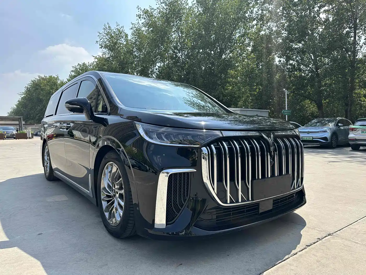 Voyah Auto Voyah Dreamer 2024 PHEV Extended Range Flagship Edition фото 3