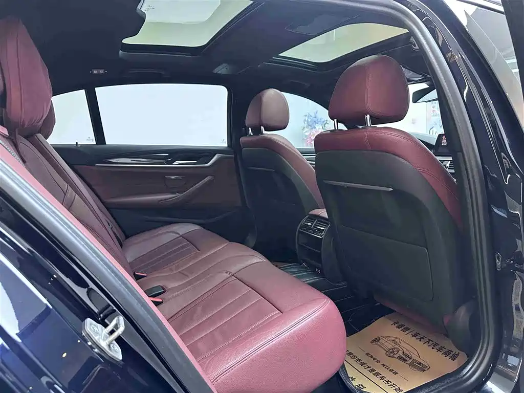 BMW 5 Series 2020 530Li Leading M Sport Package фото 5